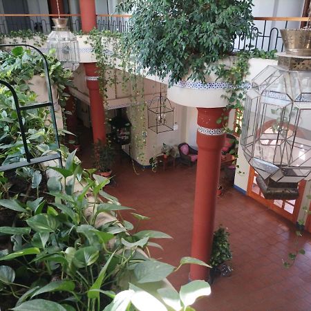 Estudio Reina Y Pastora El Rocio El Rocío Exterior foto
